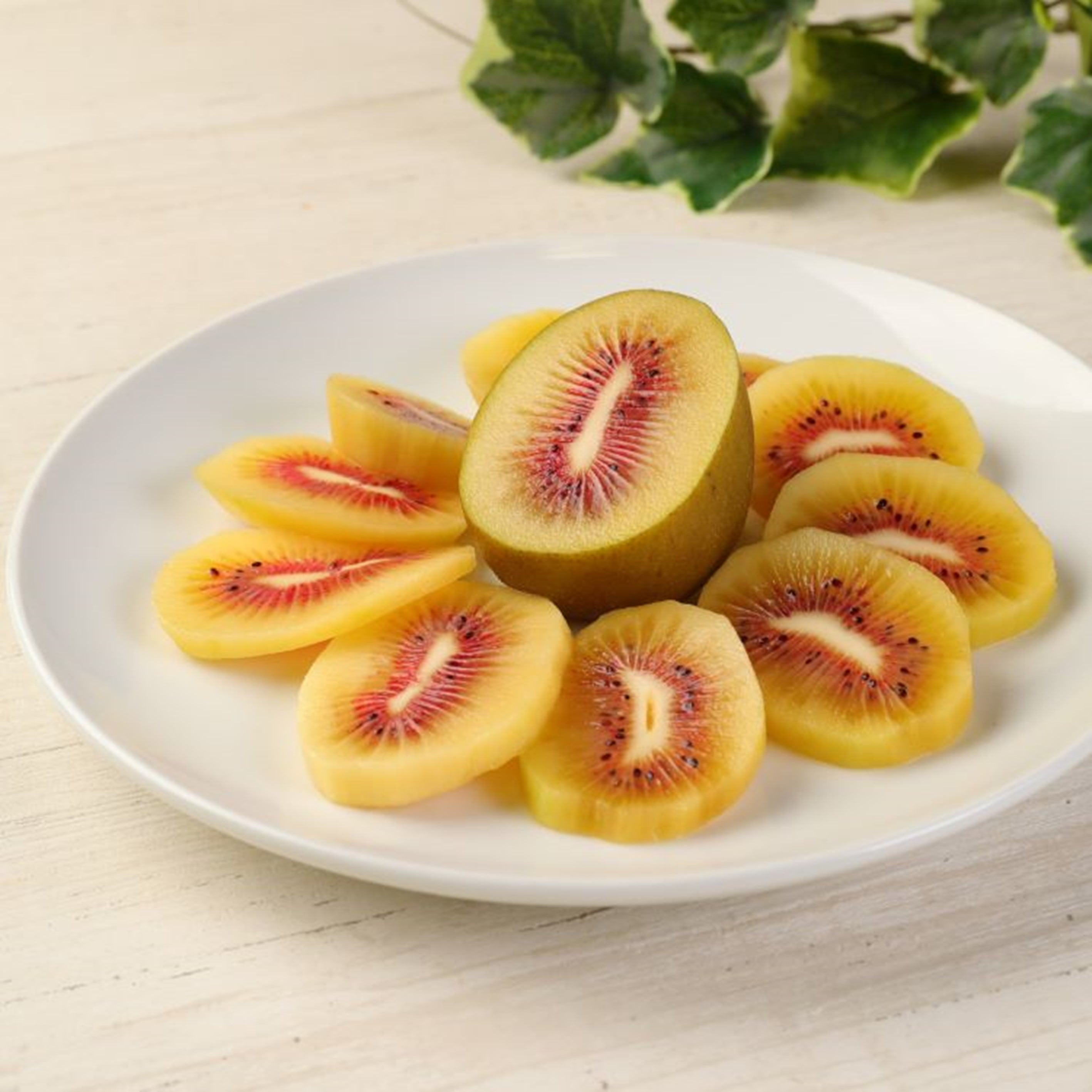 完熟プレミアム大玉 レッドサン900g 熊本県産 糖度18度の希少な赤いキウイ！「グレープガーデン益城」《予約販売10月上旬より順次発送》