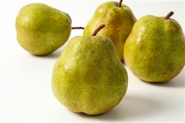 ラ・フランス 秀品 2kg5－9玉 11月中旬から発送 送料無料「アンスリーファーム」