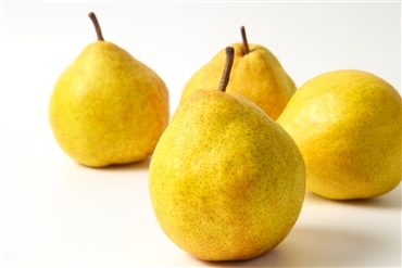 幻の洋梨 ラ・ネージュ 秀品 ４~9玉 2kg 《12月上旬から発送・先行予約開始！》「アンスリーファーム」産直 産地直送 2025 果物 フルーツ なし 洋梨