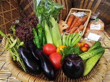 京野菜セット S 農薬･化学肥料不使用 「アスカ有機農園」