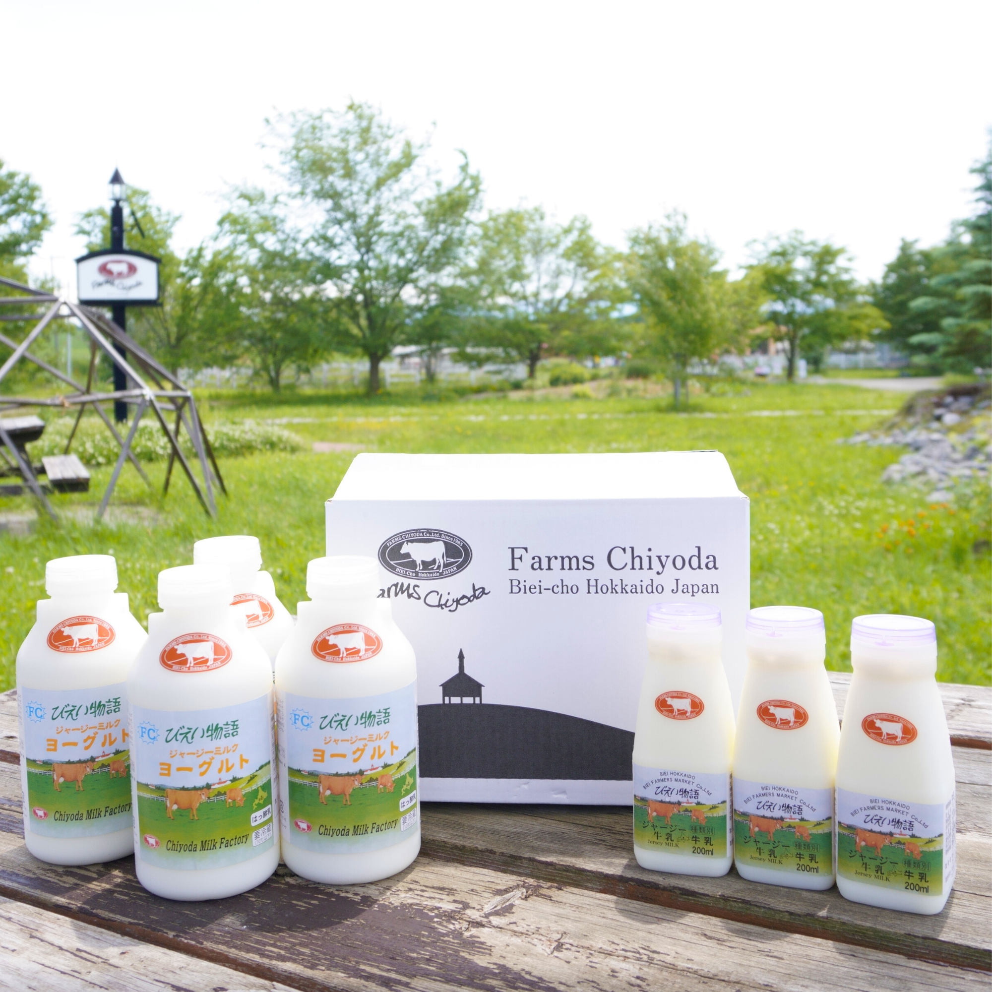 ジャージー牛乳、ジャージーヨーグルトセット　超希少！北海道美瑛町 「ファームズ千代田」送料無料