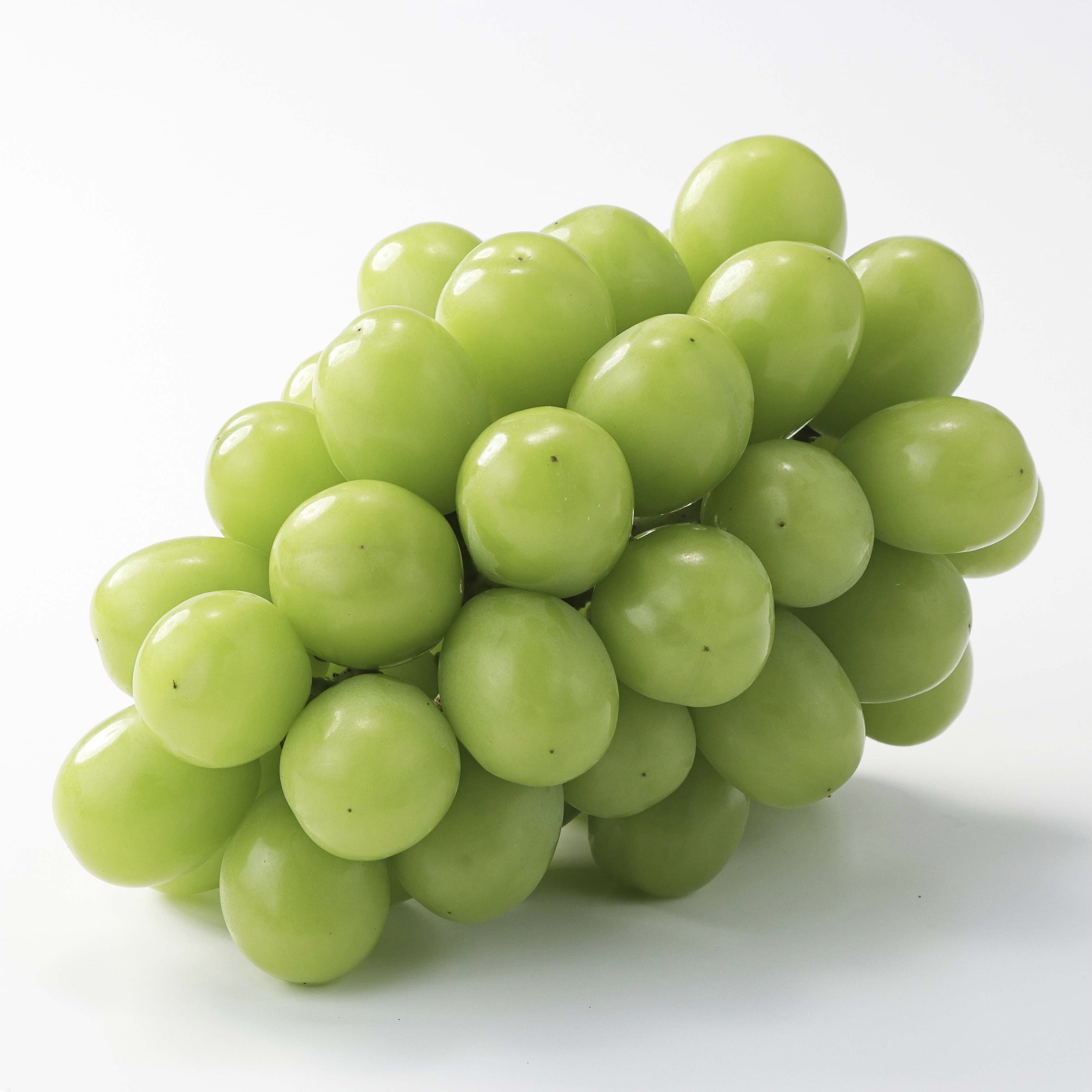 味わいシャインマスカット3～5房〔1.8kg以上〕〔葡萄農家が贈る〕「Nini farm」〔9月中旬～10月上旬発送〕