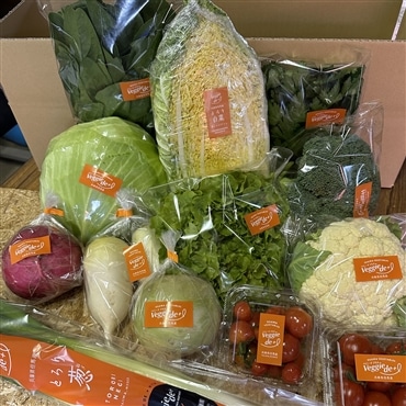 〔旬のお野菜セット〕「Veggie de +」100サイズの段ボール 旬のおいしさがここに！兵庫県但馬産