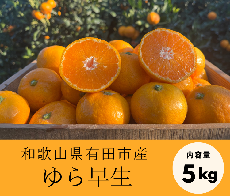 甘味と酸味のバランスに舌鼓！ゆら早生（5kg）《11月上旬発送開始》「株式会社上友農園」
