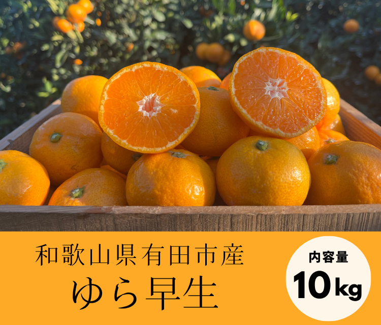 甘味と酸味のバランスに舌鼓！ゆら早生（10kg）《11月上旬発送開始》「株式会社上友農園」