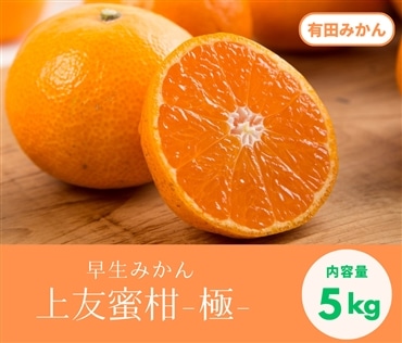 みかんの極をお届け！早生みかん（5kg）《12月上旬発送開始》「株式会社上友農園」