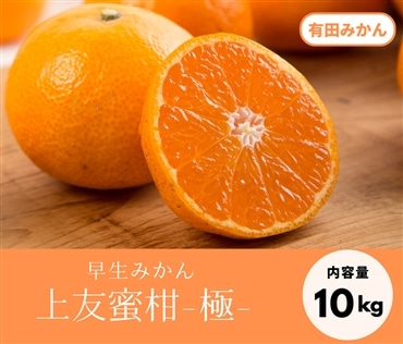 みかんの極をお届け！早生みかん（10kg）《12月上旬発送開始》「株式会社上友農園」