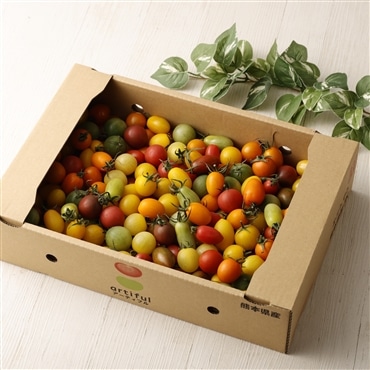 〔15～20種のアーティフルミニトマト3㎏〕ミニトマト生産量日本一の熊本県産〔ご家庭向け・お料理の彩りに〕「アーティフル」