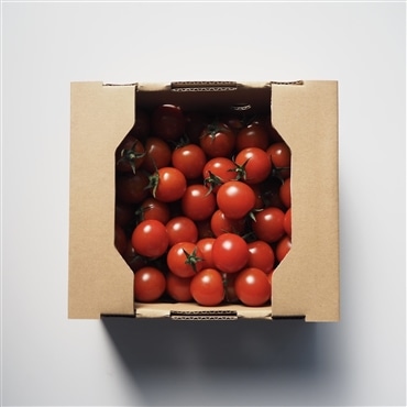 〔アーティフル赤色ミニトマト1㎏〕ミニトマト生産量日本一の熊本県産〔お料理の彩りに〕「アーティフル」