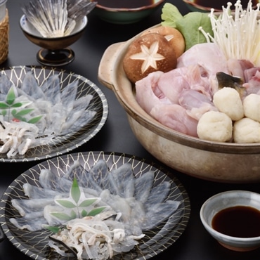 得々ふぐ鍋・刺身セット2人前〔冷凍〕とらふぐ白子付き！「山口ふぐ本舗きらく」クリスマスやお正月の特別な日に　産直お取り寄せ