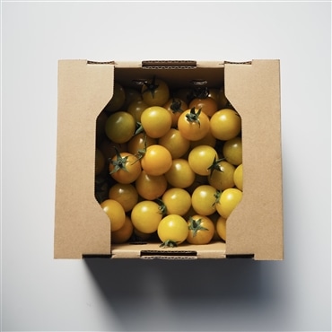 〔アーティフル黄色ミニトマト1㎏〕ミニトマト生産量日本一の熊本県産〔お料理の彩りに〕「アーティフル」