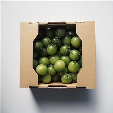 〔アーティフル緑色ミニトマト1㎏〕ミニトマト生産量日本一の熊本県産〔お料理の彩りに〕「アーティフル」