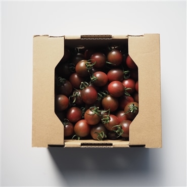 〔アーティフル紫色ミニトマト1㎏〕ミニトマト生産量日本一の熊本県産〔お料理の彩りに〕「アーティフル」