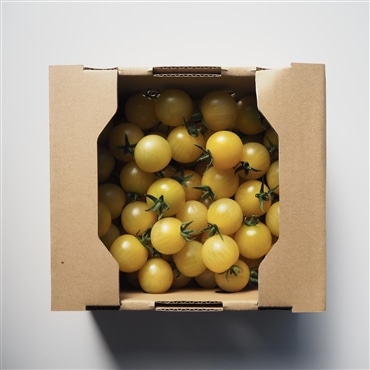 〔アーティフルレモン色ミニトマト1㎏〕ミニトマト生産量日本一の熊本県産〔お料理の彩りに〕「アーティフル」