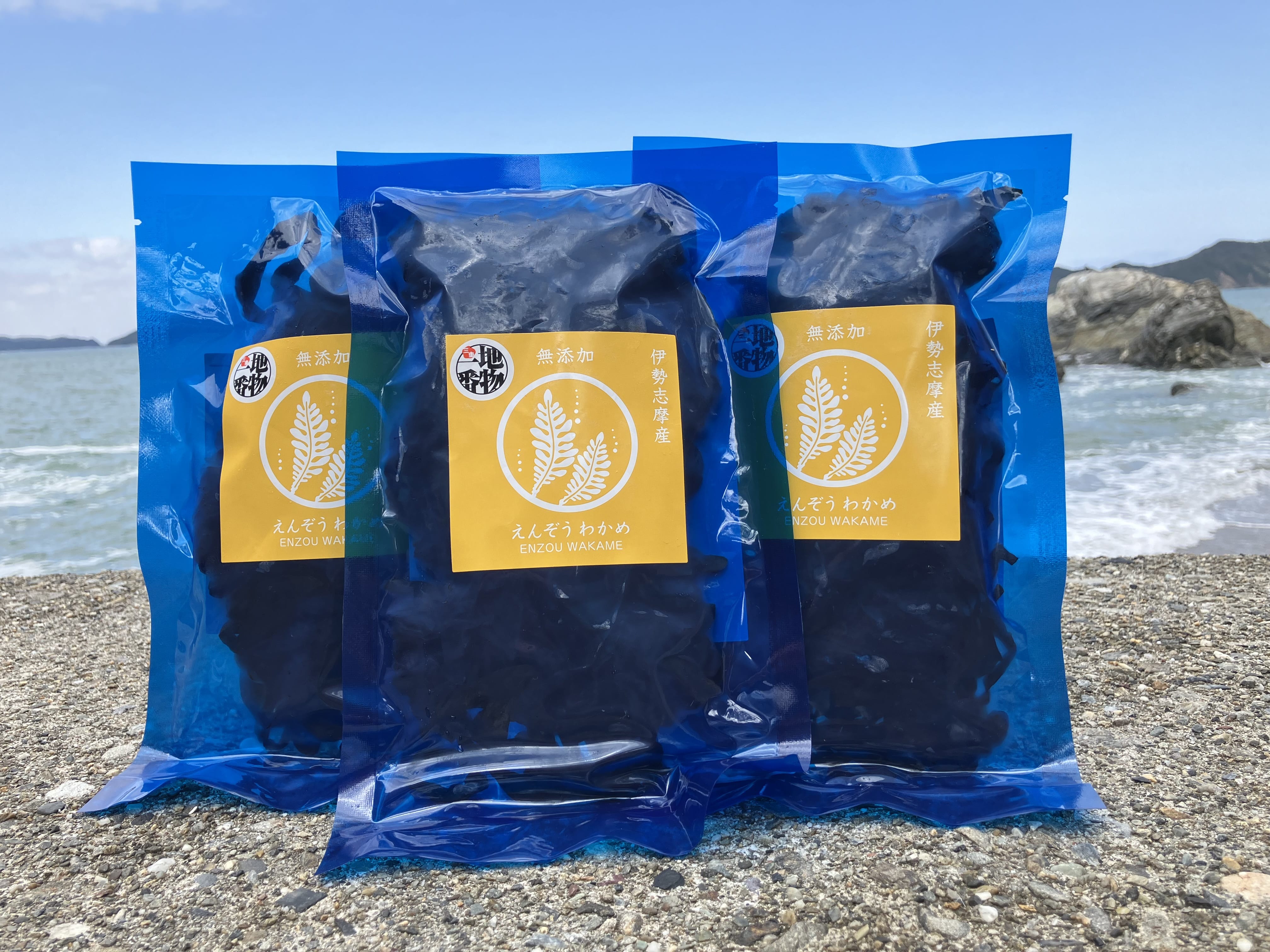 産地厳選！【産地直送】えんぞうわかめ100ｇ3パック　 伊勢志摩産　鳥羽市の離島・菅島沿岸で収穫「有限会社ＭＤＫ・海藻生活プラスワン」産直 2025 海鮮 海藻 塩蔵わかめ 人気のおみやげ