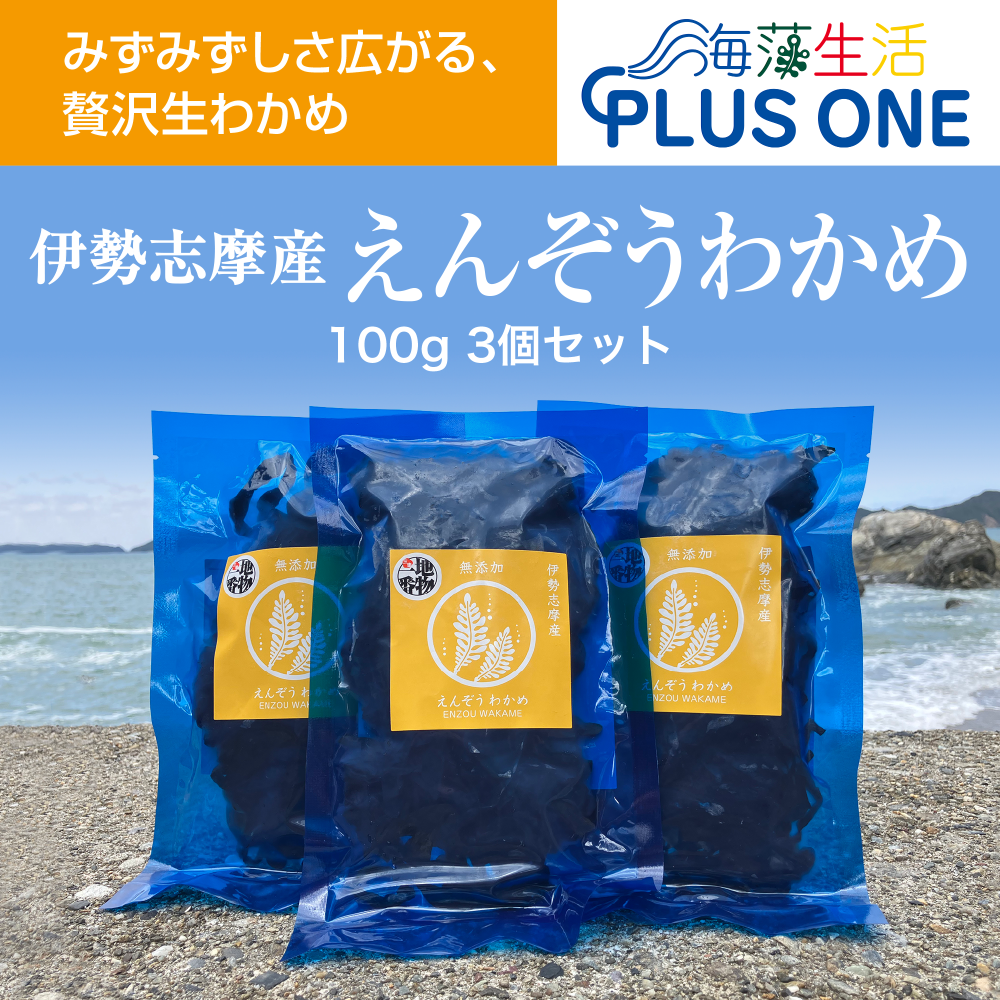 産地厳選！【産地直送】えんぞうわかめ100ｇ3パック　 伊勢志摩産　鳥羽市の離島・菅島沿岸で収穫「有限会社ＭＤＫ・海藻生活プラスワン」産直 2025 海鮮 海藻 塩蔵わかめ 人気のおみやげ