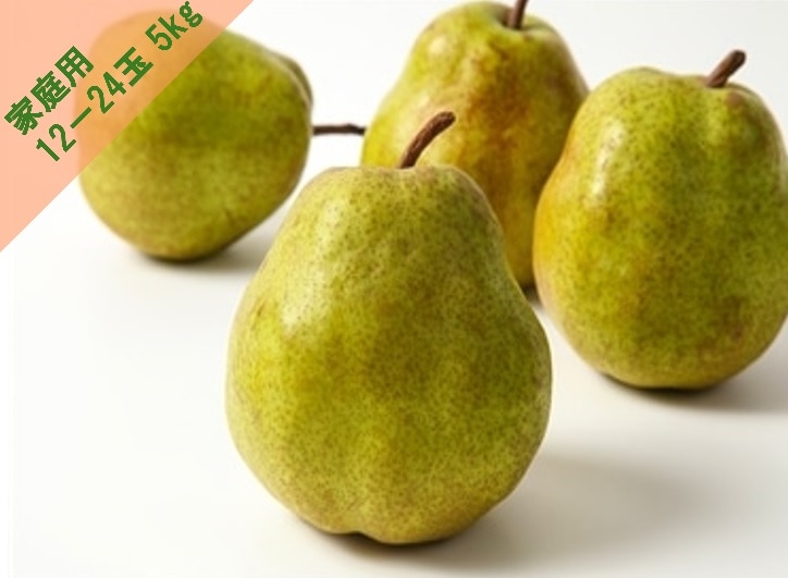 ラ・フランス 家庭用 12－24玉 5kg 《11月中旬～12月下旬発送》「アンスリーファーム」送料無料