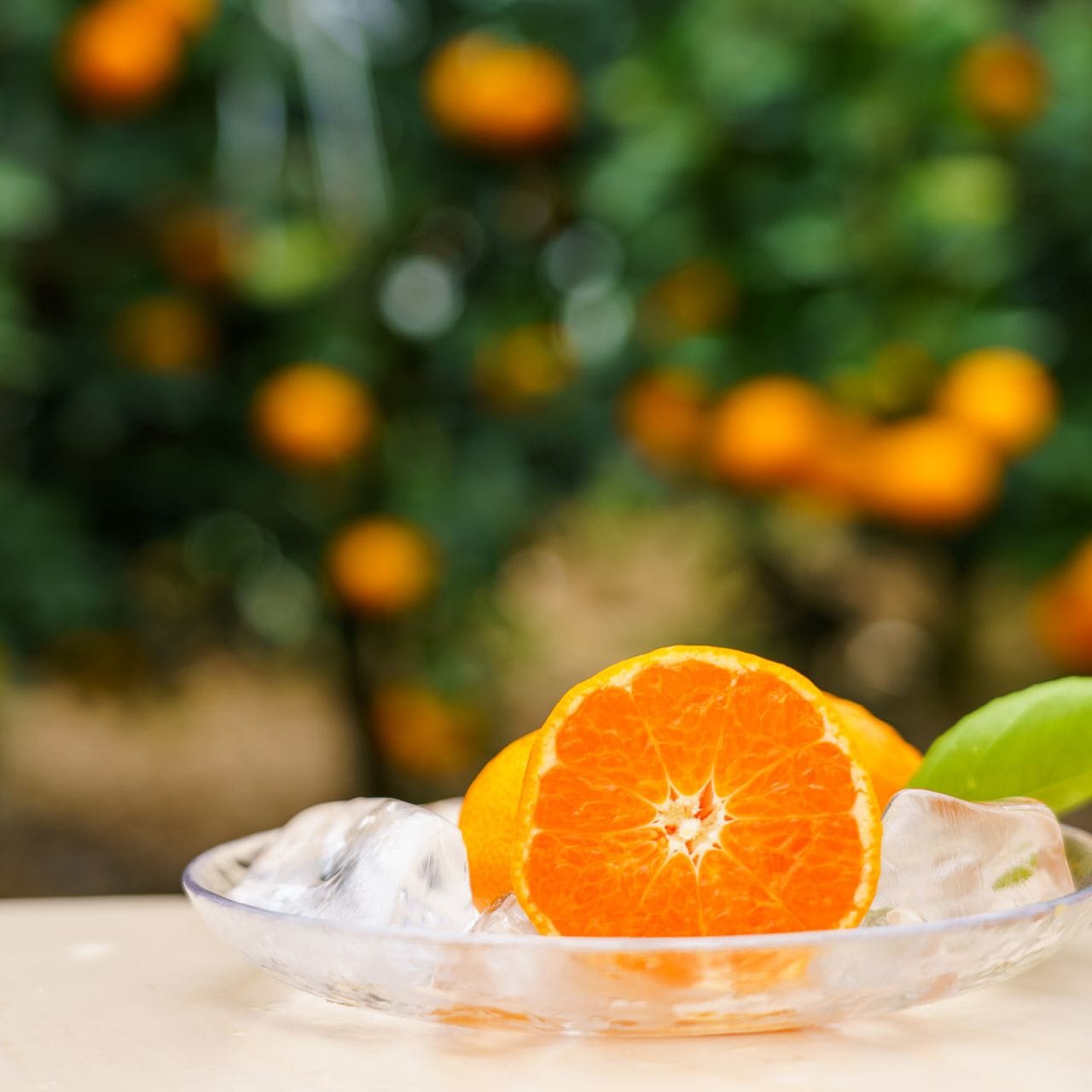 夏においしい極上みかん「夏織」2.5kg 〔海と空と、みかん〕大場農園のハウスみかん【7月お届け】