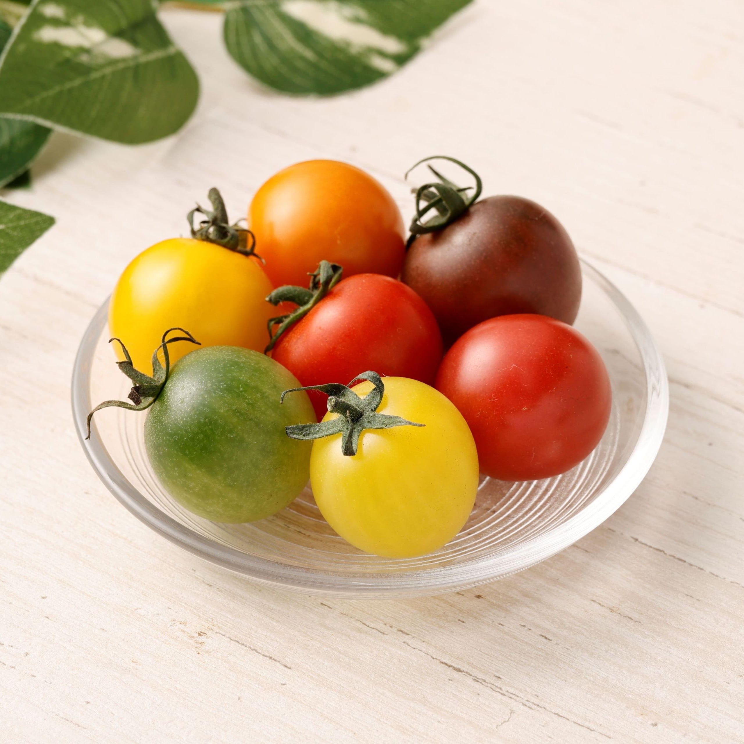 〔15～20種のアーティフルミニトマト1㎏〕ミニトマト生産量日本一の熊本県産〔ご家庭向け・お料理の彩りに〕「アーティフル」