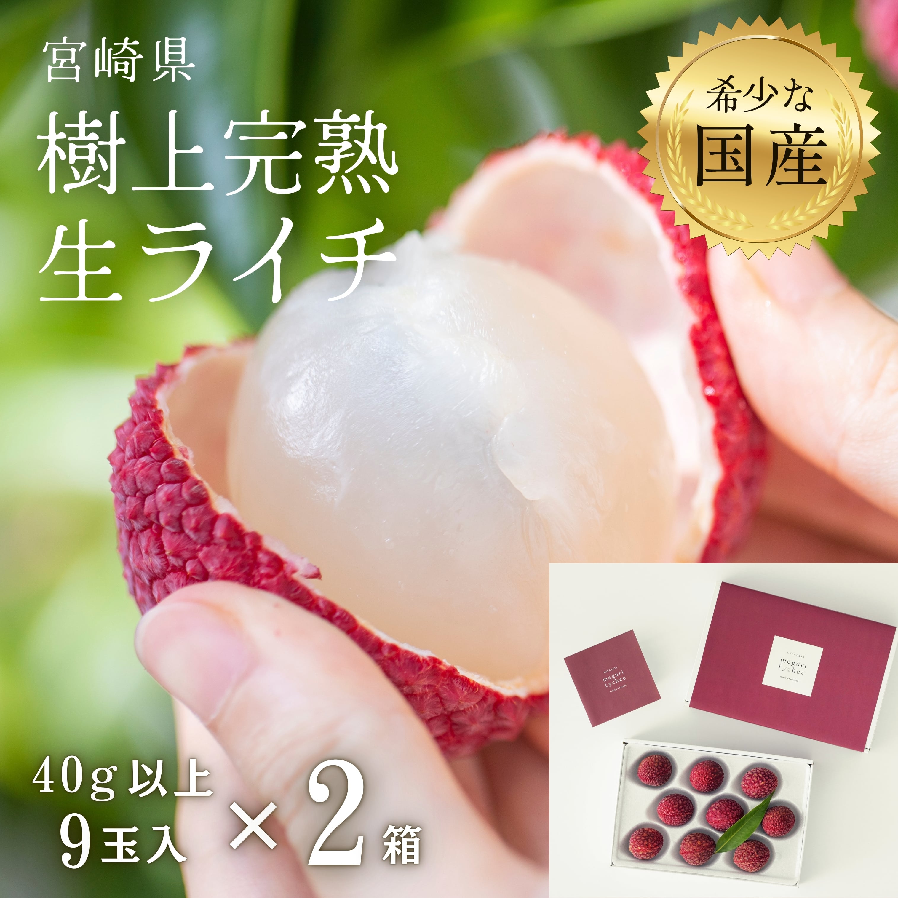 〔芳醇な香り、みずみずしい食感、濃厚な甘味〕 宮崎県産 樹上完熟生ライチ 「meguri LYCHEE」（1玉40g以上）厳選9玉入り×2箱セット〔有機肥料で栽培〕 7月中旬より順次発送！「いちごポタジェ株式会社」