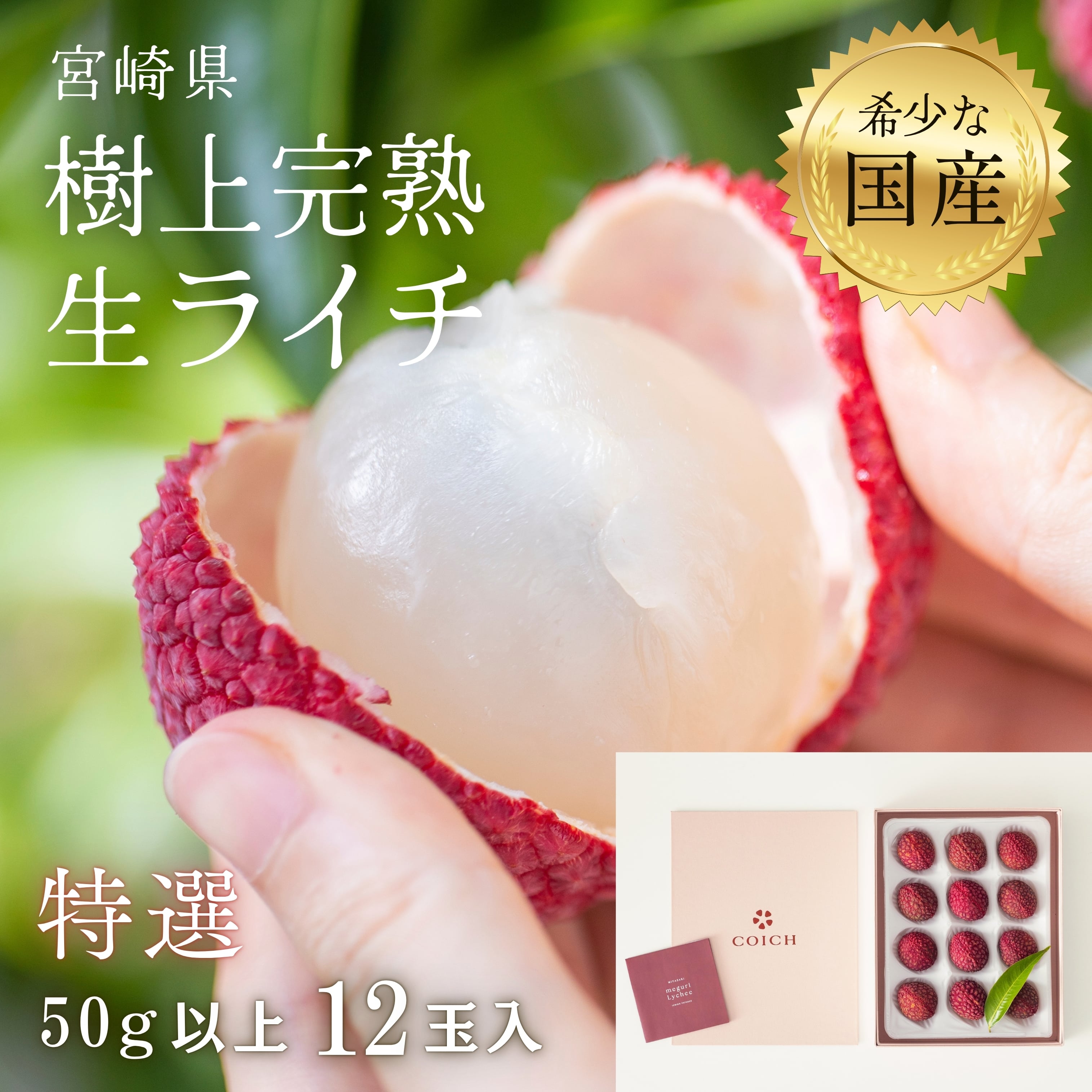 〔芳醇な香り、みずみずしい食感、濃厚な甘味〕 宮崎県産 樹上完熟生ライチ 「meguri LYCHEE」（1玉50g以上）特選12玉入り〔有機肥料で栽培〕7月中旬より順次発送！「いちごポタジェ株式会社」