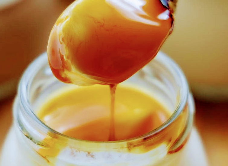 石川県こまつプリン　極生プリン　スイート5個 「極生プリン専門店いけ田」