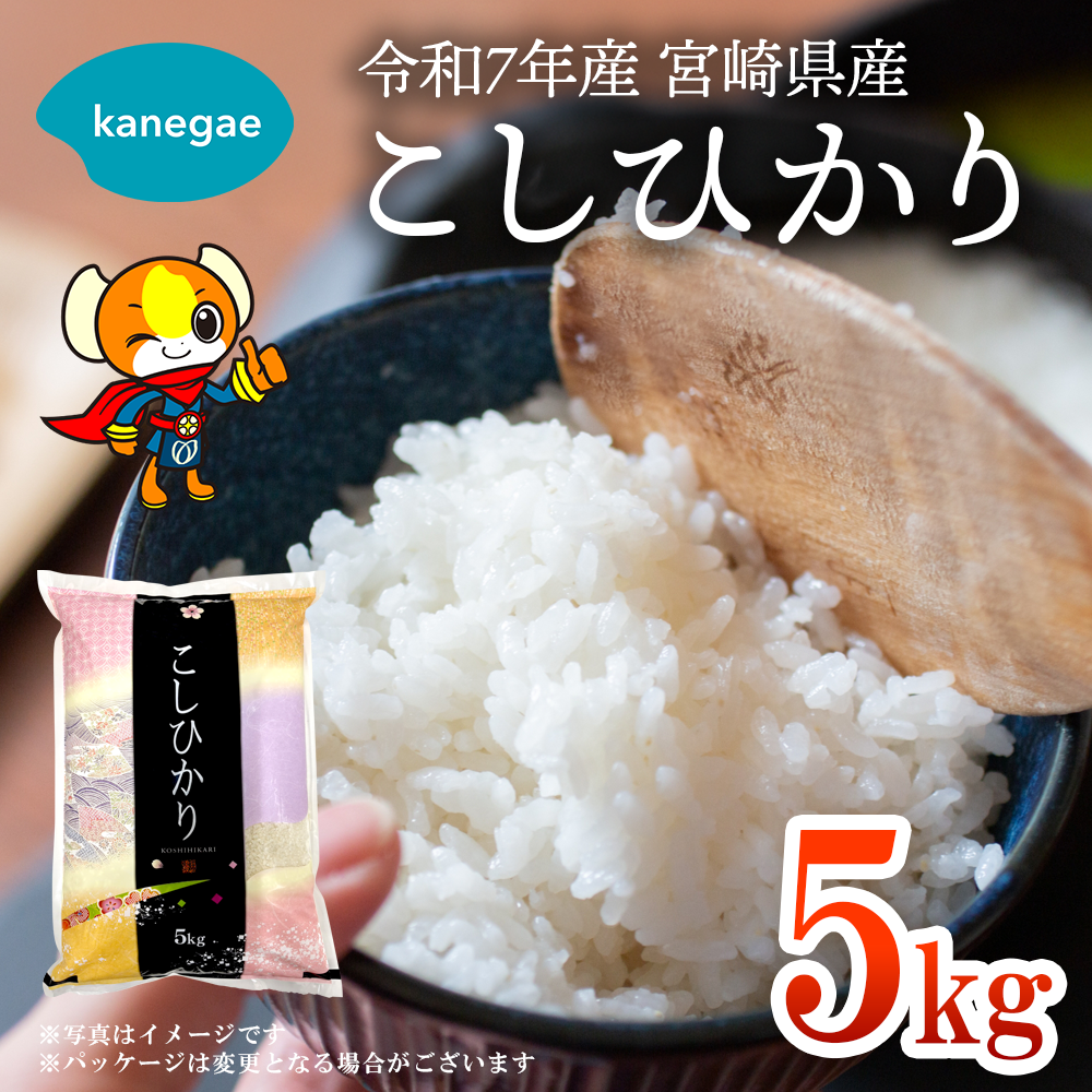 令和7年産　宮崎県産こしひかり5kg 精米したてをお届け！「株式会社カネガエ」送料無料
