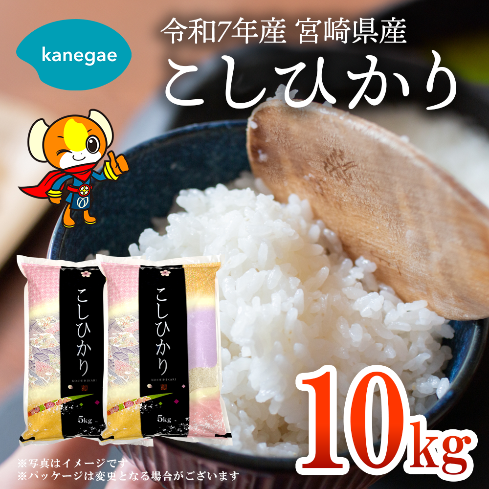 令和7年産　宮崎県産こしひかり10kg 精米したてをお届け！「株式会社カネガエ」送料無料