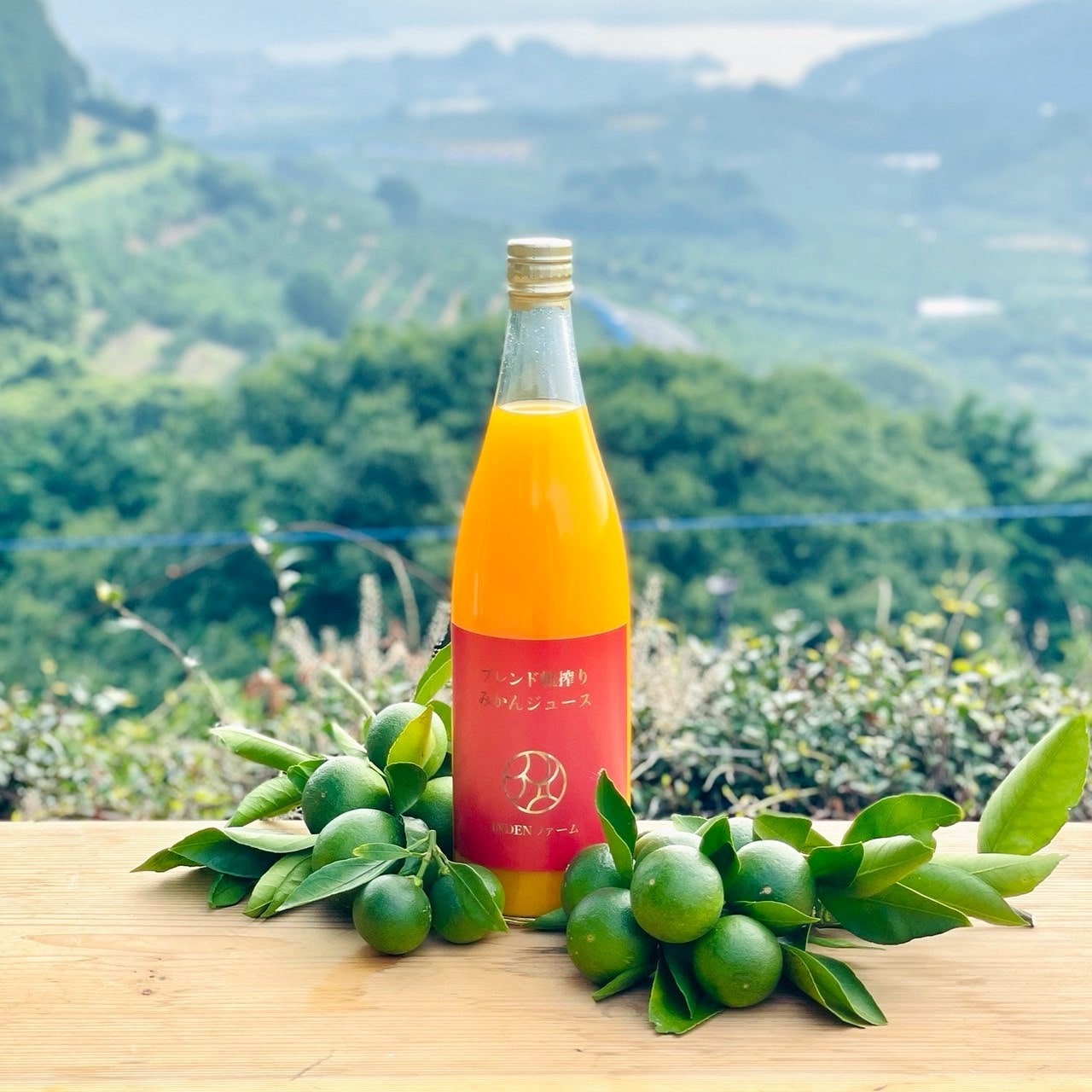 粗搾りワイルドブレンド　ストレートみかんジュース〔INDENファーム株式会社〕