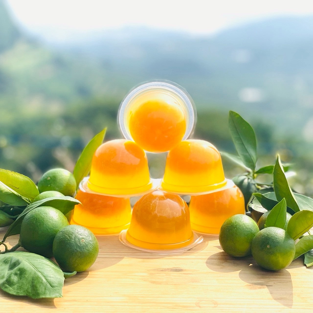 ゴロっとまるごと！インデンみかんゼリー6個セット《わたしをまるごとあじわって》〔INDENファーム株式会社〕