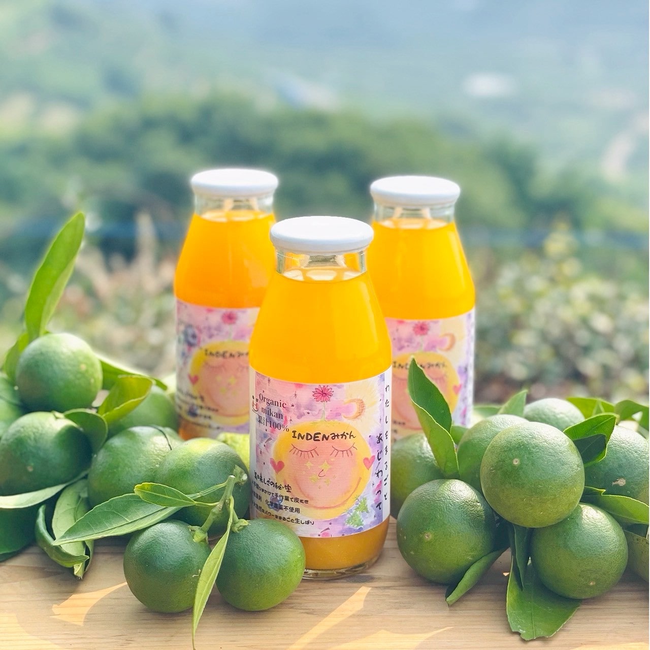 プレミアム上質ブレンド　ストレートみかんジュース　小瓶3本セット〔INDENファーム株式会社〕