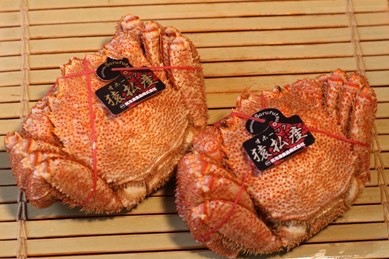 煮毛ガニ（冷凍）１尾約440ｇ「巽冷凍食品株式会社」大人気　ギフト　オホーツクの恵み