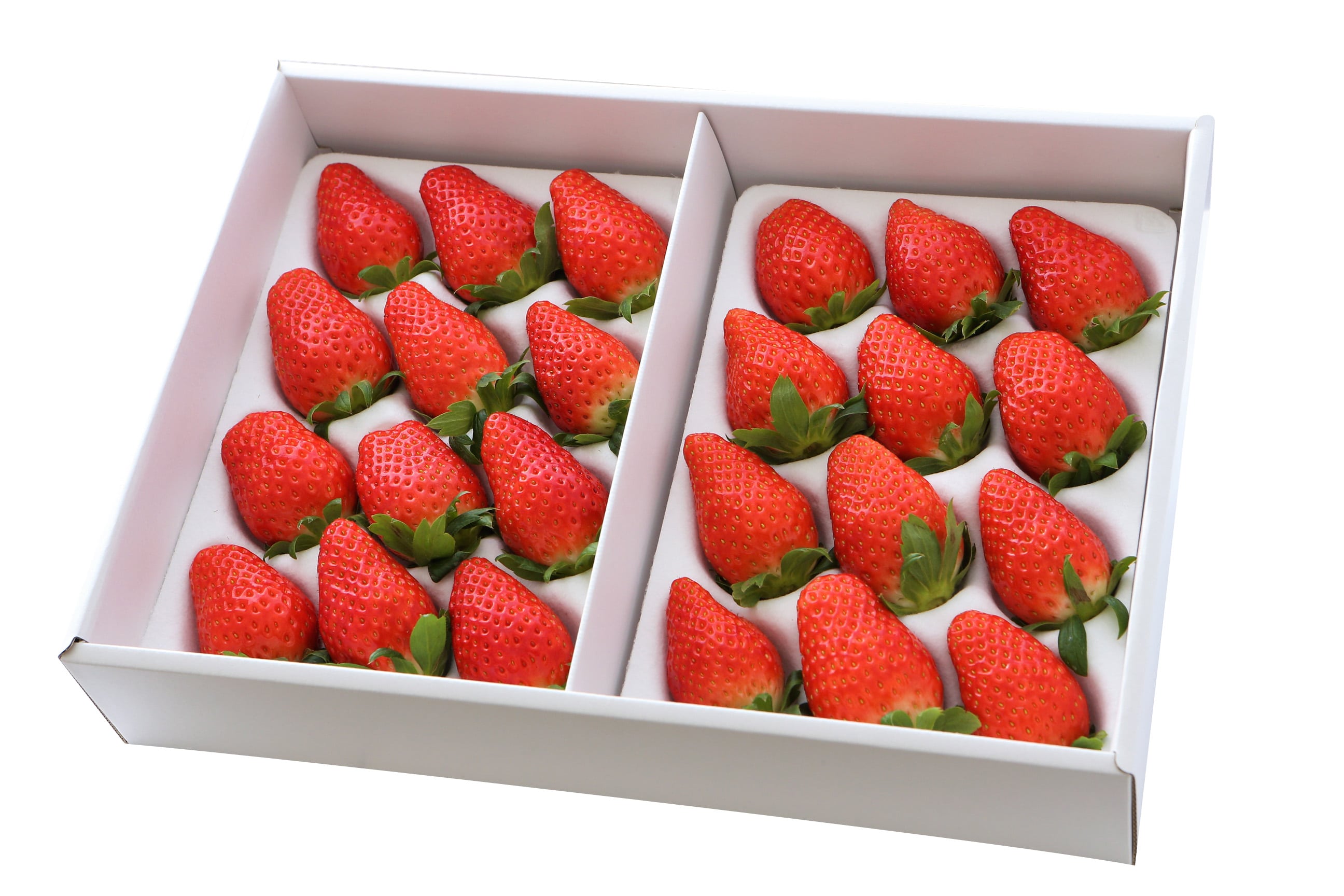 〔贈答用美作苺〕約800g「美作農園」全国いちご選手権銀賞受賞！岡山県推奨ブランドいちご　送料無料［有限会社美作農園］