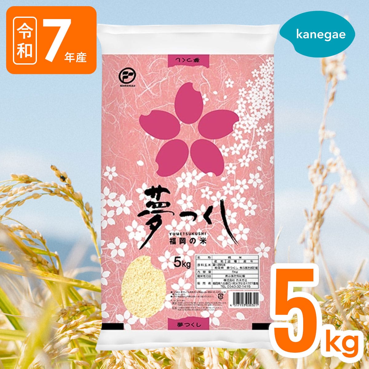 R7年産｜夢つくし5kg 福岡県限定銘柄のお米 精米したて！送料無料［株式会社カネガエ］