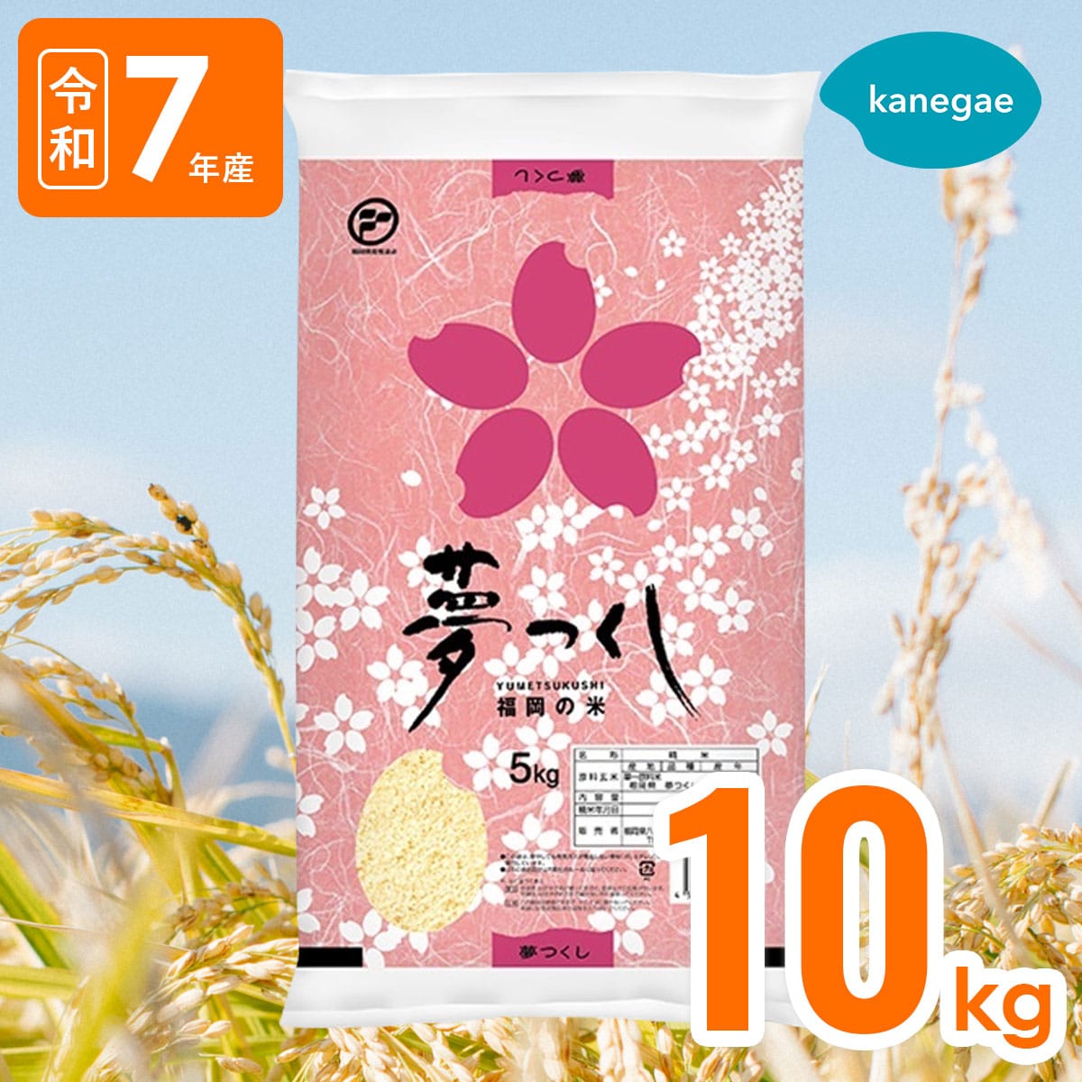 R7年産｜夢つくし10kg 福岡県限定銘柄のお米 精米したて！送料無料［株式会社カネガエ］