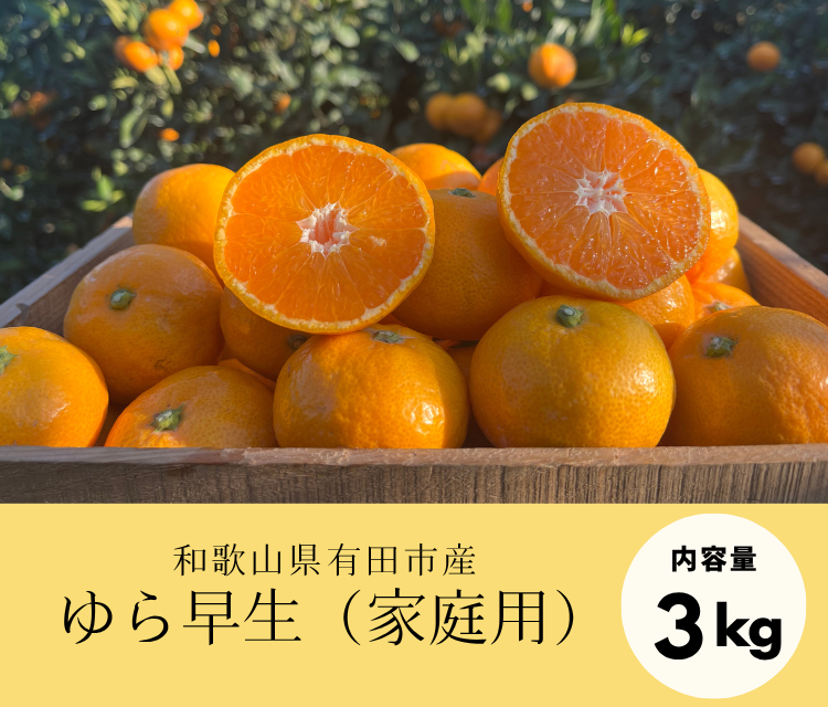 ※お得なご家庭用※甘味と酸味のバランスに舌鼓！ゆら早生（3kg）《11月上旬発送開始》「株式会社上友農園」