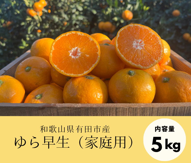 ※お得なご家庭用※甘味と酸味のバランスに舌鼓！ゆら早生（5kg）《11月上旬発送開始》「株式会社上友農園」