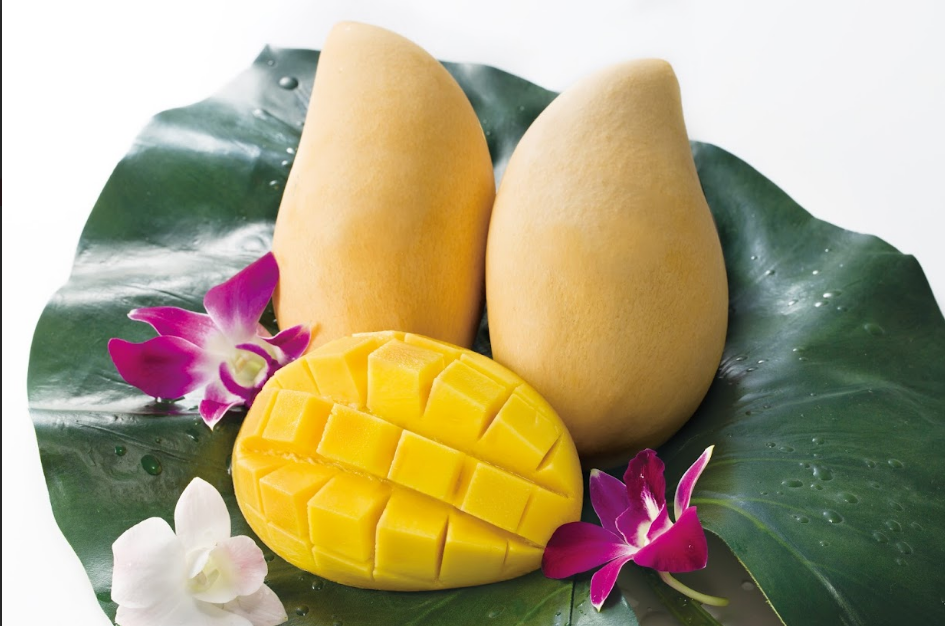 タイ産マンゴー最高品種！約 3Kg (6 個 ～ 10個入り) JALUXマンゴー（ナームドクマイ）12/18-12/20頃お届け(タイからJAL便で産地直送)