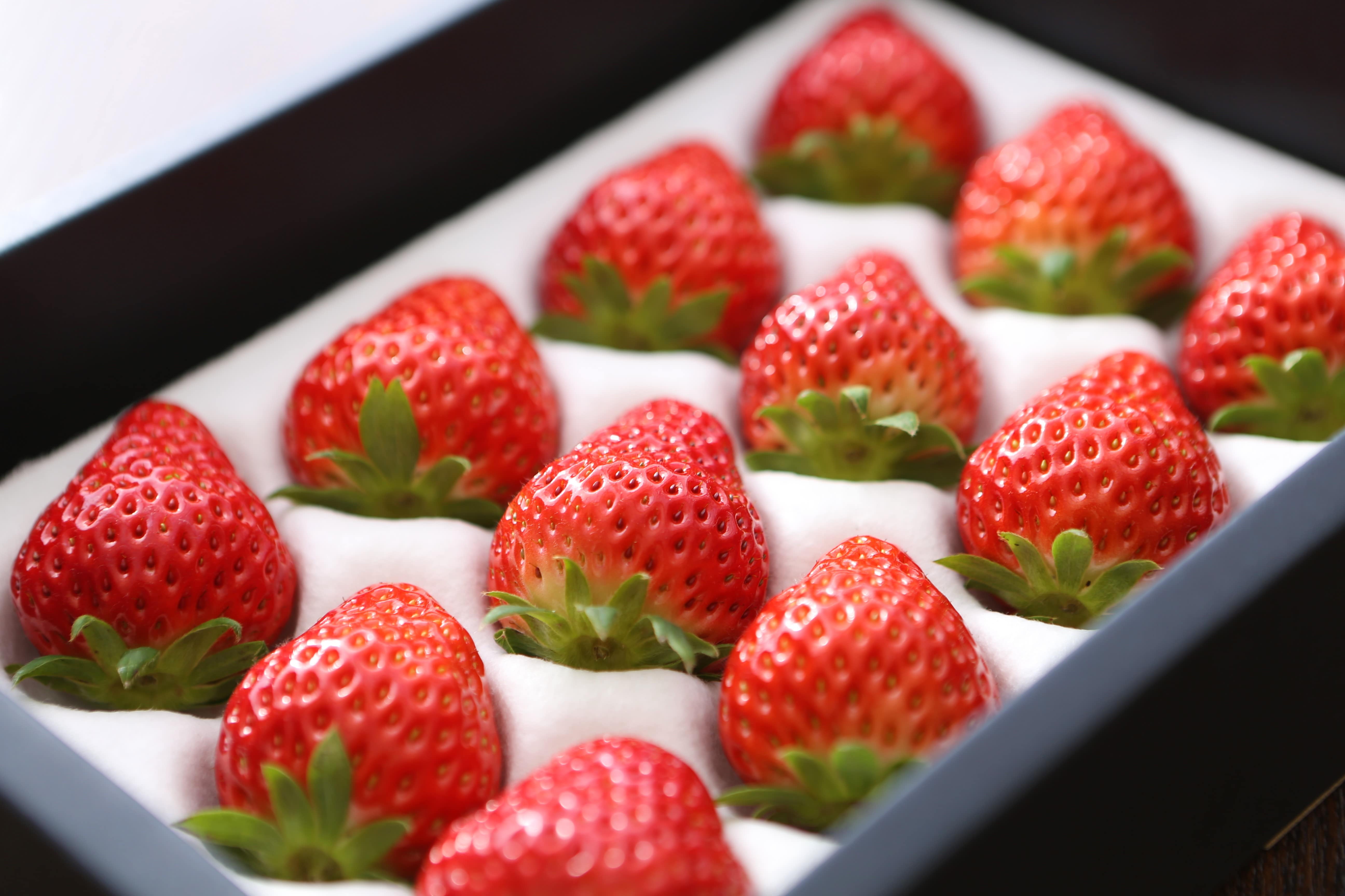 〔美作苺〕約400g 全国いちご選手権2年連続上位入賞！岡山県推奨ブランドいちご〔贈答用〕「美作農園」