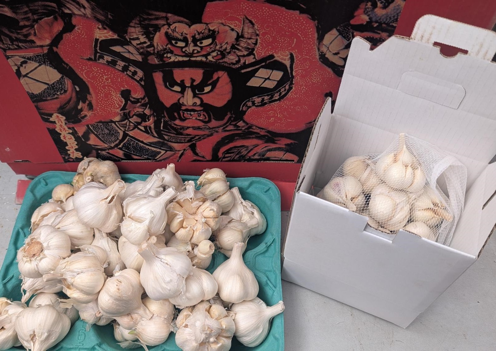 生ニンニク【訳アリ】1kg※不揃い無選別【ホワイト】　青森県津軽産［嶽きみ屋弘前直売所］