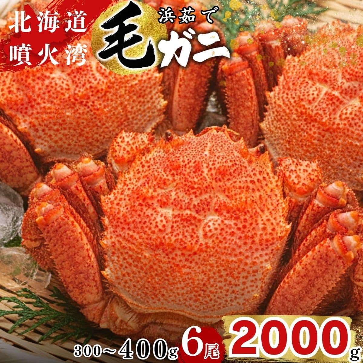 北海道産毛ガニ6尾[オーロラ水産]［株式会社ふるさとクリエイト］