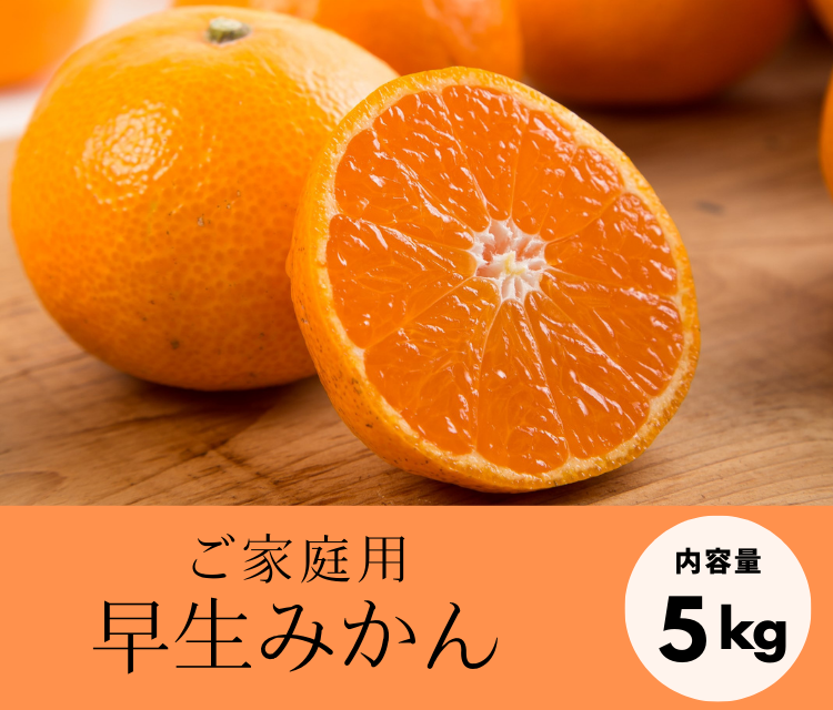 ※オトクなご家庭用※みかんの極をお届け！早生みかん（5kg）《12月上旬発送開始》「株式会社上友農園」