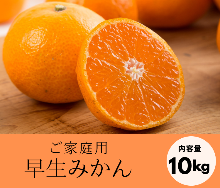 ※オトクなご家庭用※みかんの極をお届け！早生みかん（10kg）《12月上旬発送開始》「株式会社上友農園」