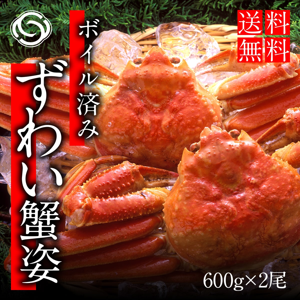 厳選　本ずわい蟹姿　２尾【株式会社ワイエス海商】