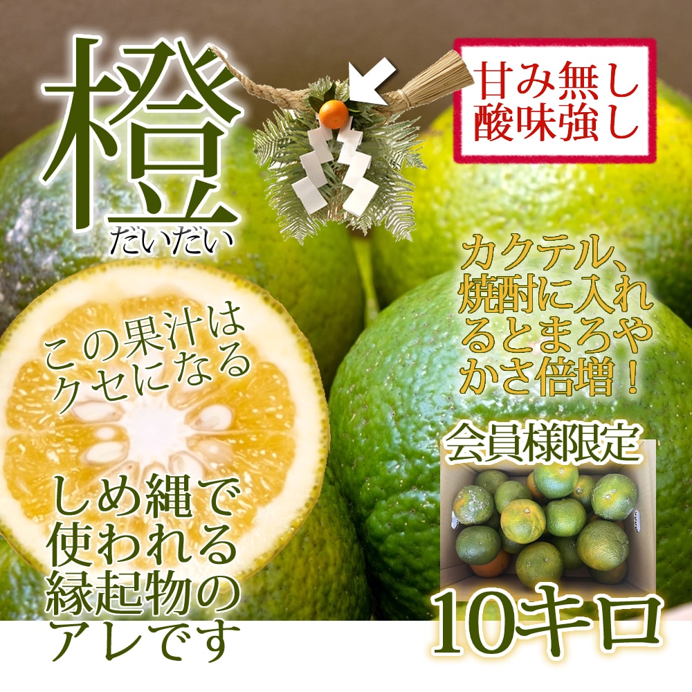 宮崎県産 橙(だいだい) 約10kg[株式会社グリーンフィールドアグリジャパン]