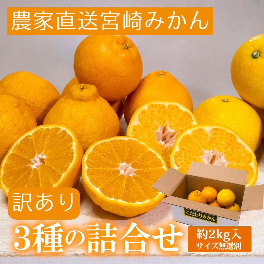宮崎県産 食べ比べ(ユゲポン、はるみ、陽南姫(ひなひめ)) 無選別 約2kg[株式会社グリーンフィールドアグリジャパン]