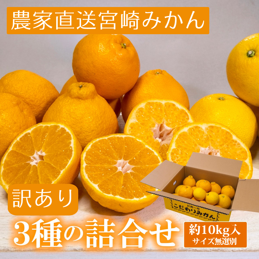 宮崎県産 食べ比べ(ユゲポン、はるみ、陽南姫(ひなひめ)) 無選別 約10kg[株式会社グリーンフィールドアグリジャパン]