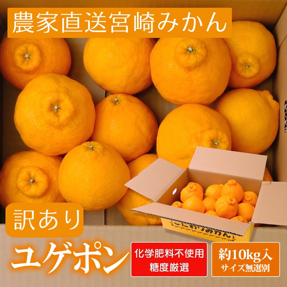 宮崎県産 ユゲポン 無選別 約10kg[株式会社グリーンフィールドアグリジャパン]