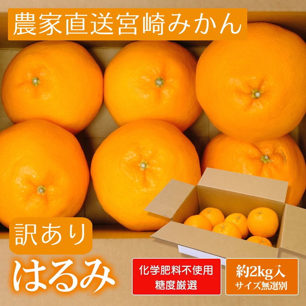 宮崎県産 はるみ 無選別 約2kg[株式会社グリーンフィールドアグリジャパン]