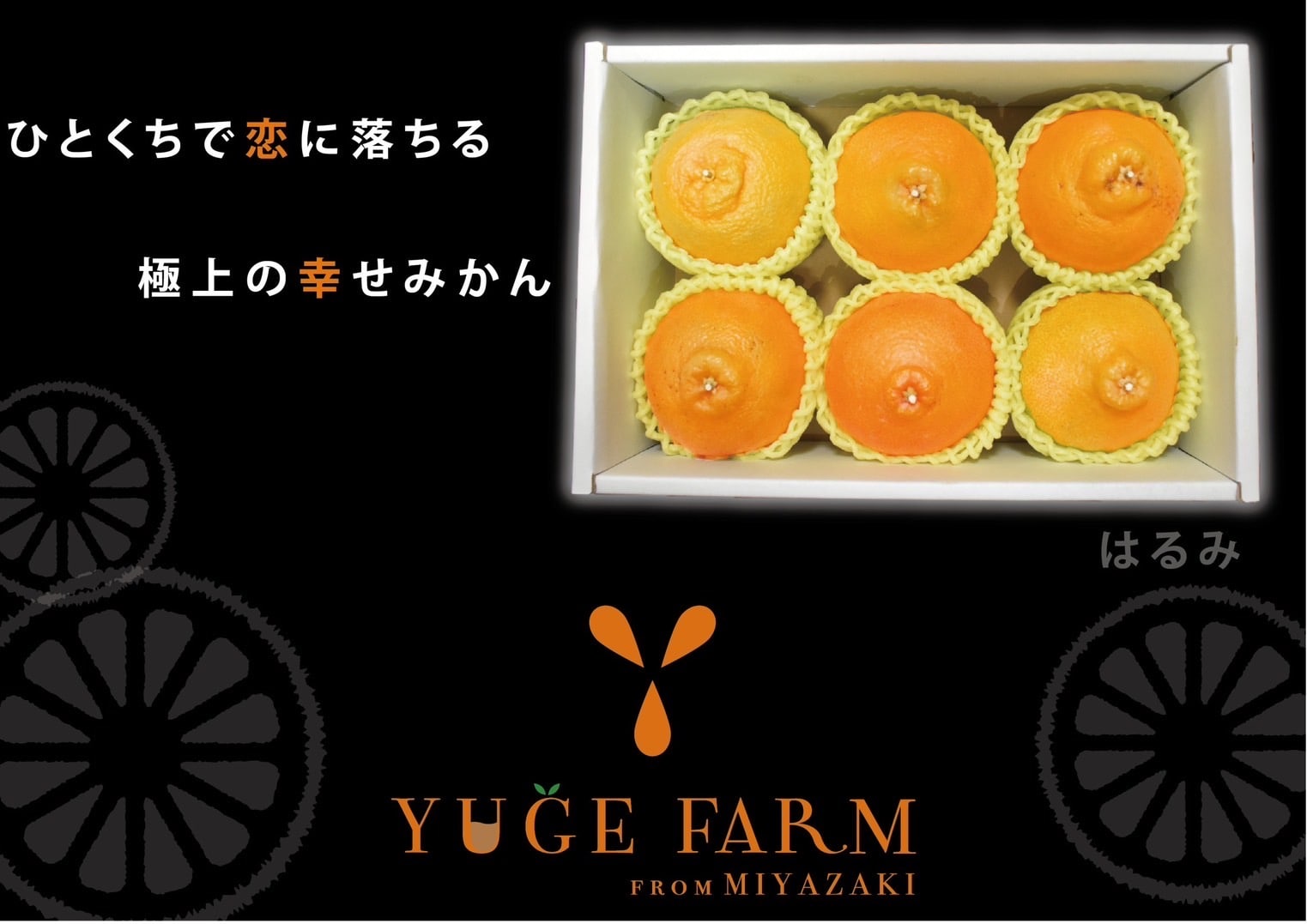 宮崎県産 ユゲポン 贈答用 大玉6個[株式会社グリーンフィールドアグリジャパン]